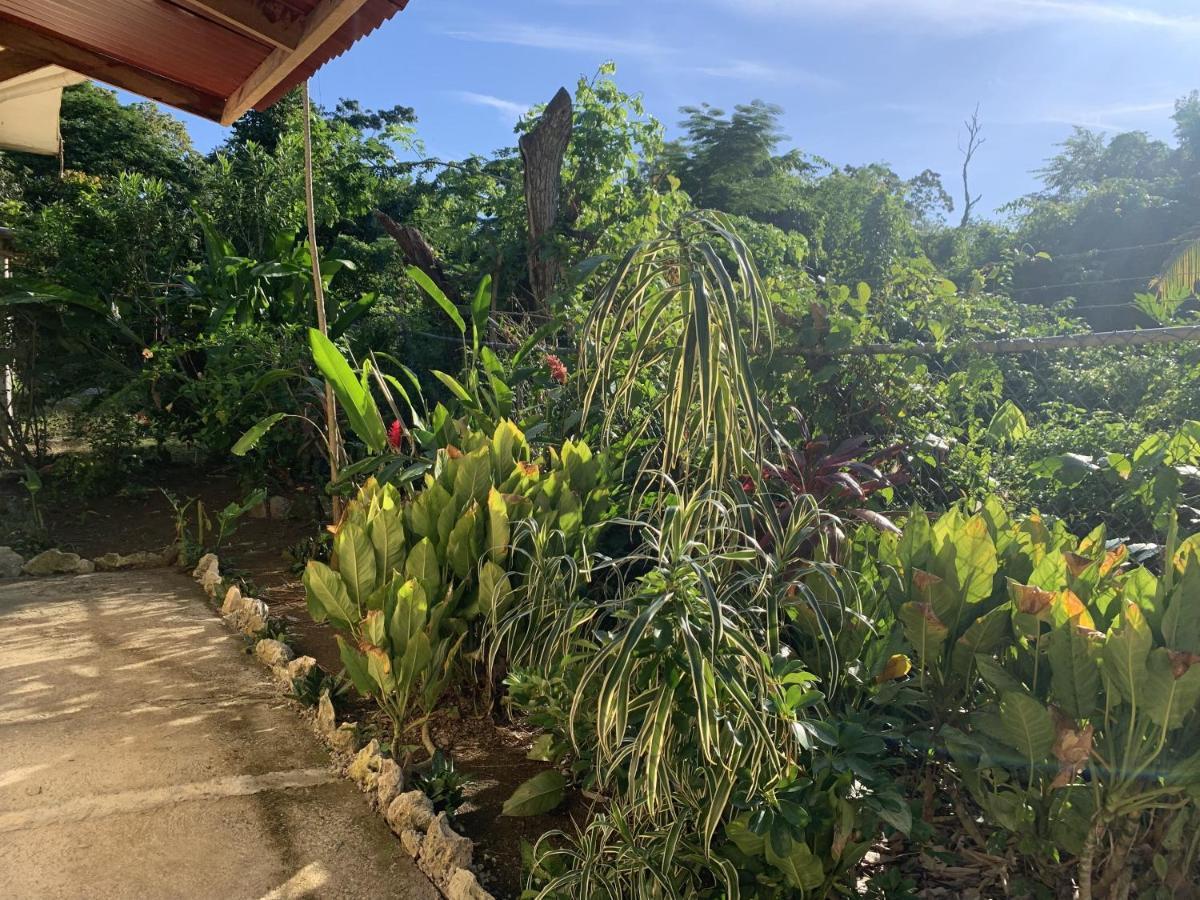 Can Jam Retreat Negril Exteriér fotografie